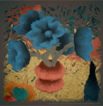 collection image